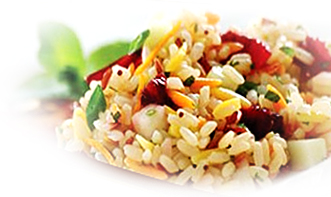 Aysan Catering